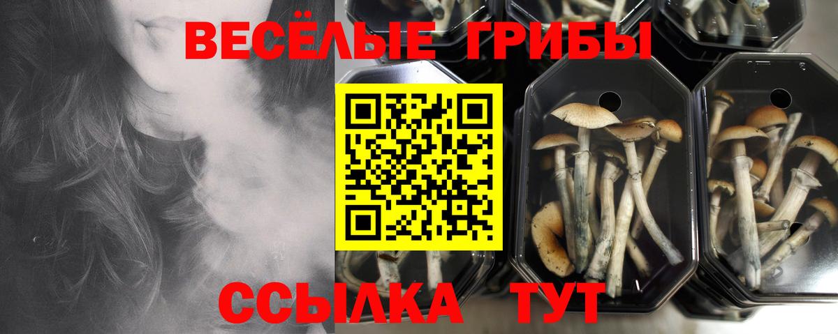 Галлюциногенные грибы Magic Shrooms Качканар